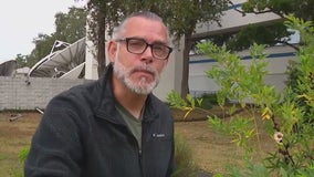 What plants to worry about during cold weather