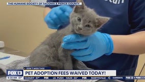 Humane society for Tacoma & Pierce county waiving adoption fees Sunday