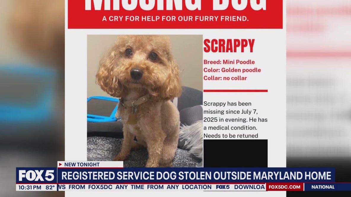 Registered service dog reportedly taken from Temple Hills home