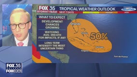 Tropics Update July 29th, 2024 4:30PM