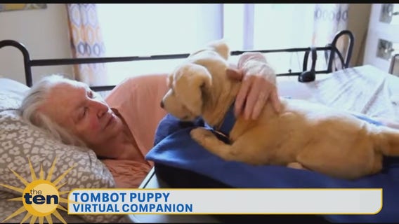 CES 2025: Realistic therapy puppy and baby monitor with night nanny featured on Day 1