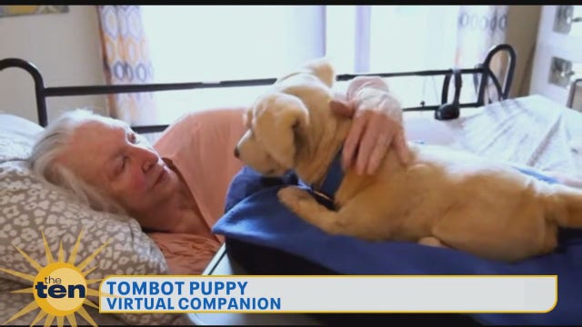 CES 2025: Realistic therapy puppy and baby monitor with night nanny featured on Day 1