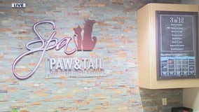 Spa Paw & Tail Premier Pet Resort