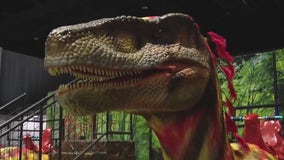Jurassic Quest takes over Florida State Fairgrounds