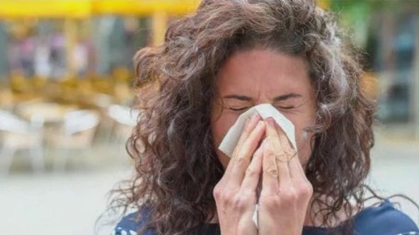 Top cities affected by allergies: Austin's ranking
