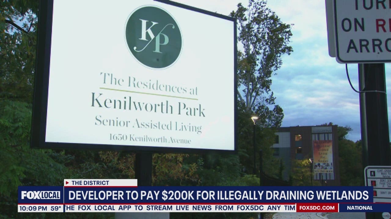 DC Developer Pays $200K, Protects Wetlands After Illegal Draining Near Anacostia River
