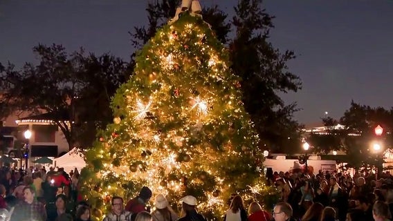 Winter on the Avenue Christmas Tree lighting