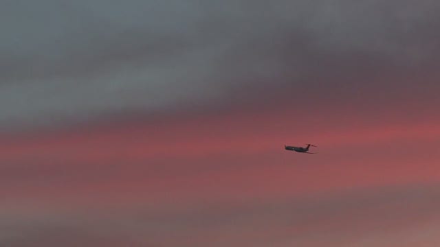 Detroit Delta flight to the Netherlands diverted due to spoiled food