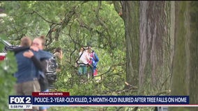 Swath of Livonia hammered by severe storms, killing 2-year-old, injuring baby