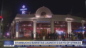 Seattle Starbucks baristas launch strike