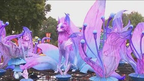 China Lights returns to Boerner Botanical Gardens; preview the event