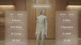 Would you buy a humanoid robot to do your chores? | ChicagoNOW