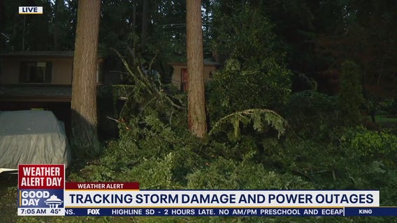 Tree crashes into Edmonds house