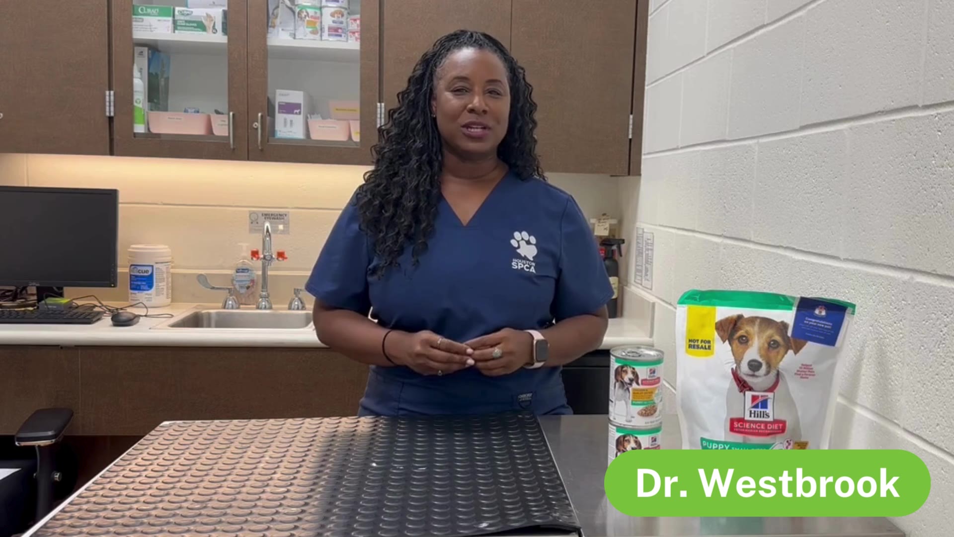 The Pet Pawcast - Parasite Prevention and Core Vaccines