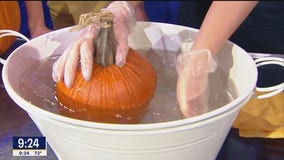 How to make pumpkins last longer