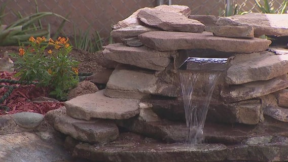 Campus pond at Cactus High School gets a makeover