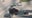 Grand theft call leads to deadly pursuit