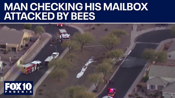 Man hospitalized after bee attack in Surprise