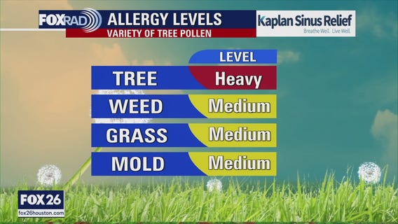 Houston allergy levels; cow escapes Houston rodeo | Forecasting with Friends
