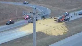 Truck tips over, spills corn all over highway