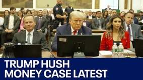 Donald Trump: NY judge delays sentencing