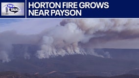 Arizona forest fire doubles in size l FOX 10 Talks