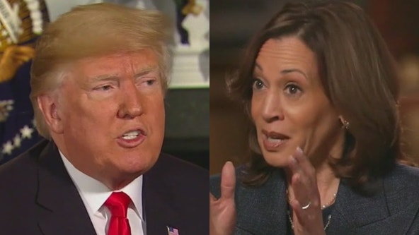 Polls show tight race between Trump and Harris, here's the breakdown