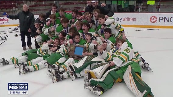Edina beats Wayzata 4-1 to advance to state hockey tournament