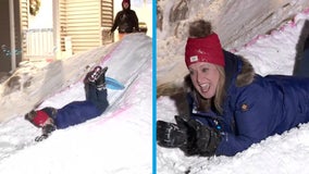 Reporter wipes out on sled on live TV