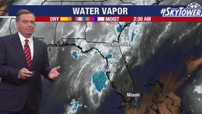 Tampa weather | dry air softens rain chances