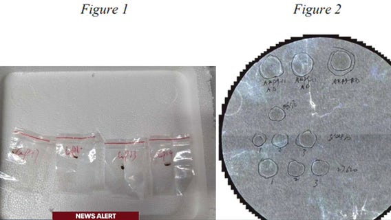 Chinese national tried smuggling pathogen through Detroit Metro Airport, Feds say