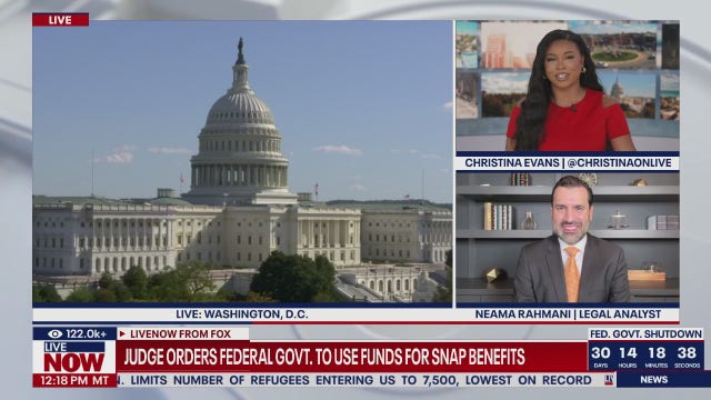 Trump must replenish SNAP food aid benefits, judges rule: What we know