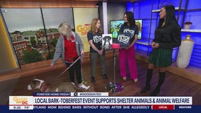 Local Bark-Toberfest event supports shelter animals and animal welfare