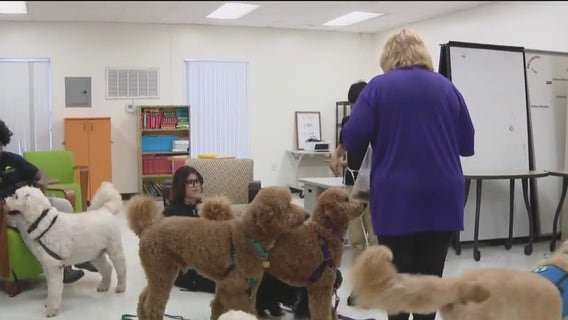 Program enlists dogs to teach kids life skills