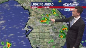 Tampa weather: Sunday evening forecast