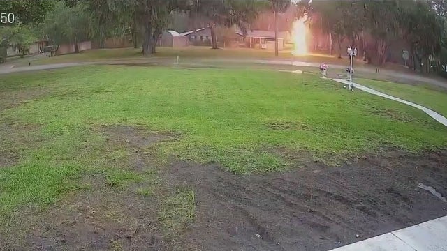 Lightning strikes tree just feet from Ormond Beach home: 'It was just an instantaneous smash'