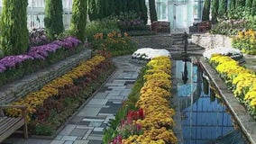 Fall Flower show at Como Conservatory