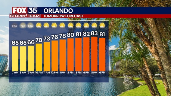 Weather forecast PM: February 5, 2025