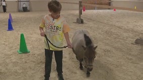 Horse therapy helping kids deal with trauma