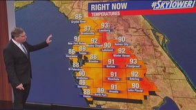 Tampa weather | Humid night in Bay Area