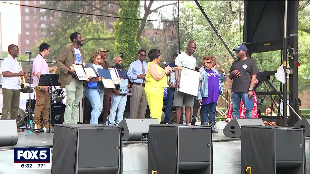 Anti-gun leaders honored in Harlem