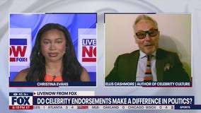 2024 election: Which celebrities have made endorsements?