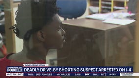 Suspect in deadly drive-by shooting arrested: Officials