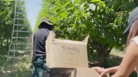 Helping farmworkers in Contra Costa County