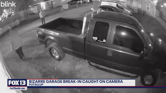 Bizarre garage break-in caught on camera
