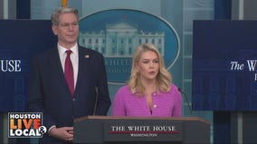 Trump tariffs, Amazon & online shopping prices | Houston Live & Local