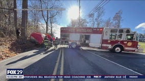 Woman killed in Chester County after tree falls on her car