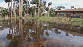 'On an island': Seminole County homeowners flood again