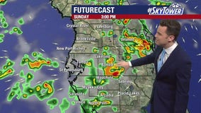 Tampa weather: Saturday evening forecast