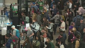 When to book flights for holiday travel